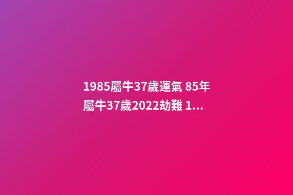 1985屬牛37歲運氣 85年屬牛37歲2022劫難 1985屬牛的一生命運-第1張-觀點-玄機派